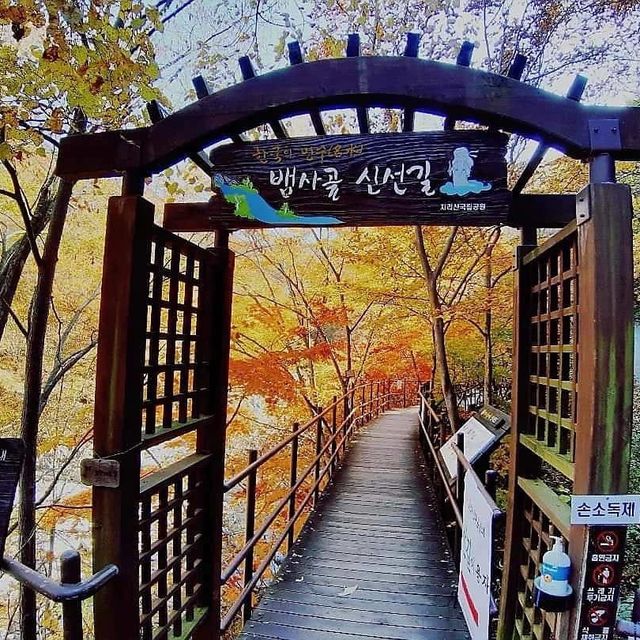 Most beautiful falling season at Bamsagol