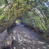 Hyde Park Unveiled: A  London Oasis