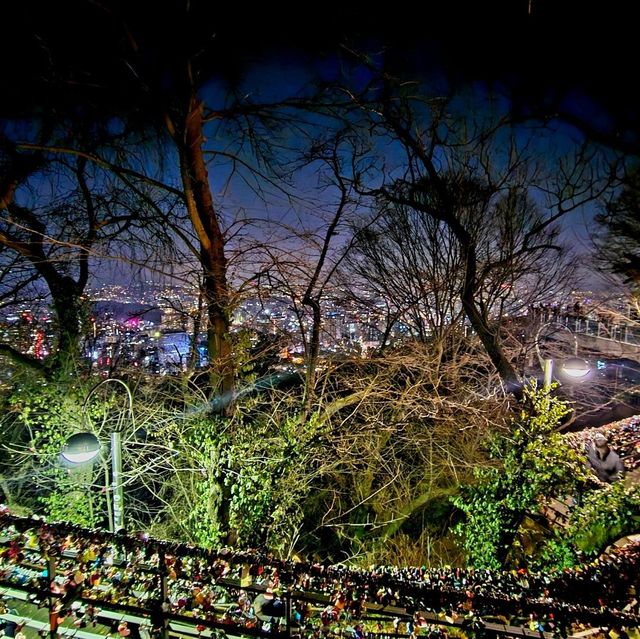 Best View of Seoul and Korea