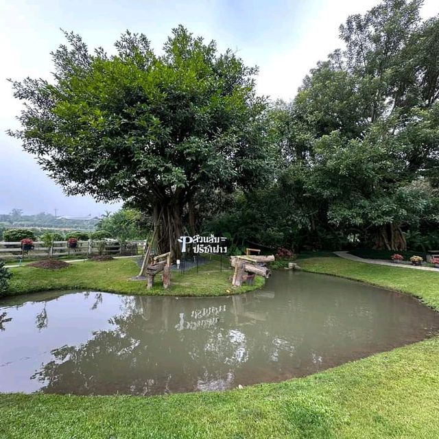 แอ่วสวนส้มปรีชา
(Preecha Farm)