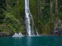 Christmas month in Mildford Sound🇳🇿