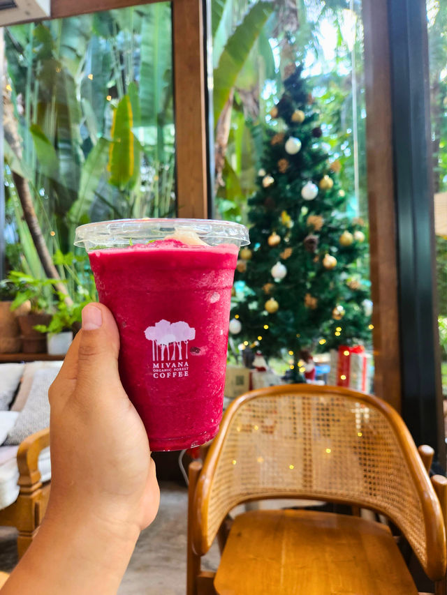 🌟MiVana Coffee คาเฟ่ป่ากลางกรุง