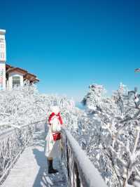 새하얀 눈꽃의 천국 발왕산 상고대❄️
