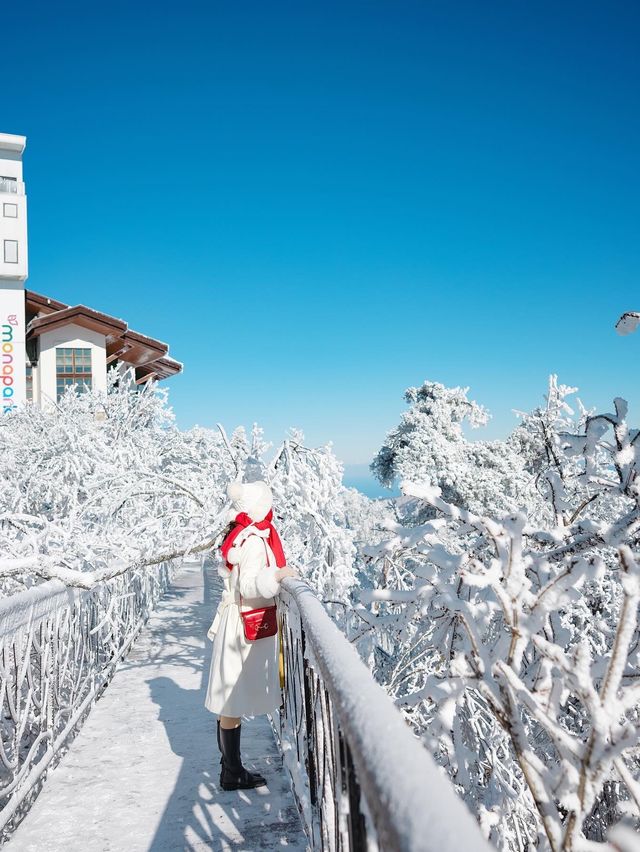 새하얀 눈꽃의 천국 발왕산 상고대❄️