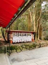 箱根🇯🇵夢幻海上神社-平和の鳥居⛩️