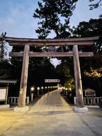【神奈川県/寒川神社】2023年行ってよかった！神奈川県の神社④