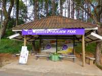 ภูแก้วพีค : Phukaew Peak 🍵☕️