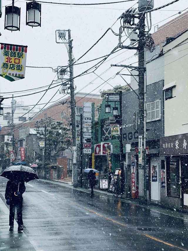 Winter in Tokyo ❄️❄️❄️