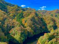 Fukuroda Falls 