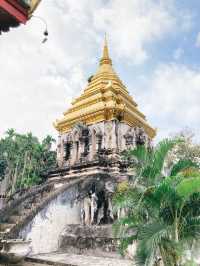 ขอพรสุขภาพและความมั่นคง “วัดเชียงมั่น” 