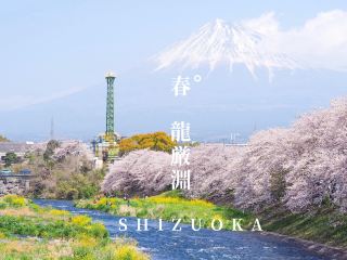 มีแผนที่สำหรับ Ryugabuchi จุดชมภูเขาไฟฟูจิและดอกซากุระที่มีชื่อเสียงซึ่งมีเพียงผู้รู้เท่านั้น!