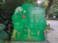 在市區的小森林-富陽自然生態公園
