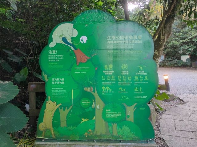 在市區的小森林-富陽自然生態公園