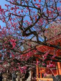 北野天満宮【北野の花手水】撫で牛の両脇の生花が華やかで綺麗