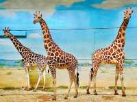 Bronx Zoo