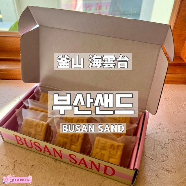 【韓国/釜山】海雲台カフェ☕️BUSAN SAND