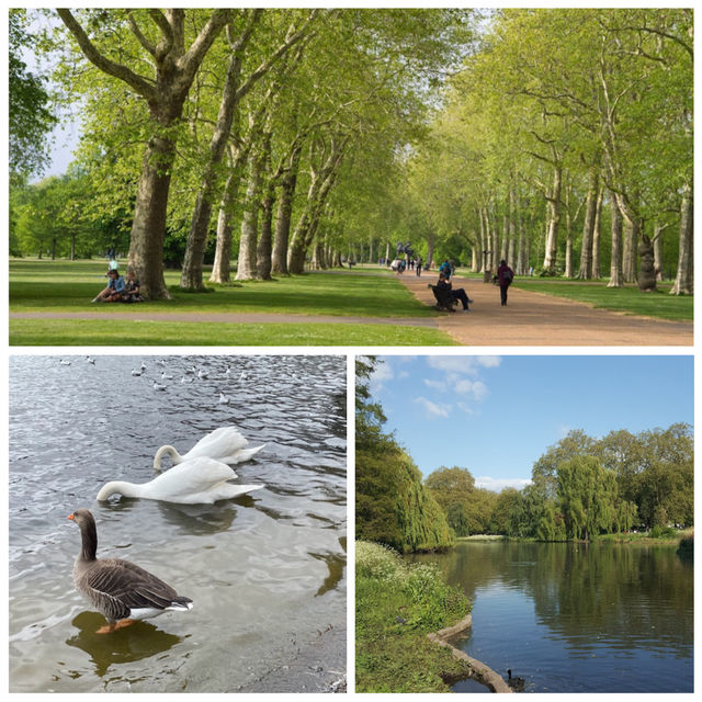 【倫敦景點】海德公園：自然美景，休閒活動好去處