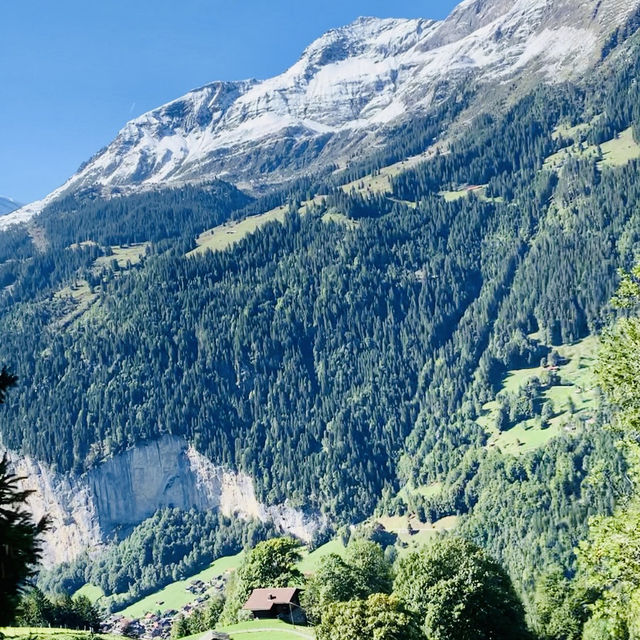 Peak View Adventure⛰️