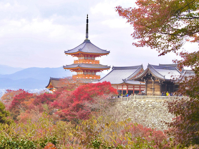紅葉が美しい秋の清水寺 | Trip.com 京都