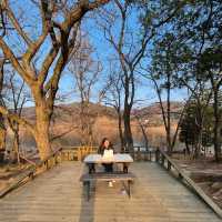 Trip To Nami Island