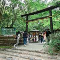 Spring in Arashiyama 1-day trip🌸🎋