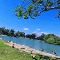 倫敦Lake Grove公園：湖光山色，尋找身心放鬆的世外桃源