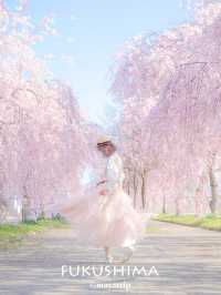 【福島】どこまで行ってもしだれ桜