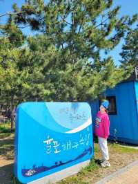손하트 포토존과 바다보며 힐링하는 보성여행🩵