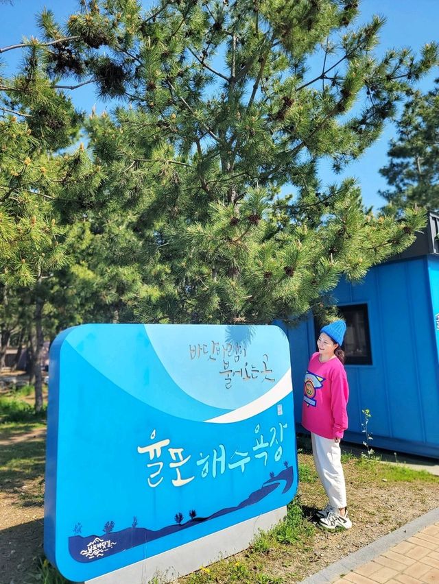 손하트 포토존과 바다보며 힐링하는 보성여행🩵