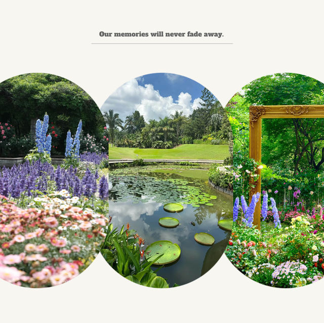 【大阪景點】HOS花園：世界珍奇植物，園藝治療，放鬆靜心時光
