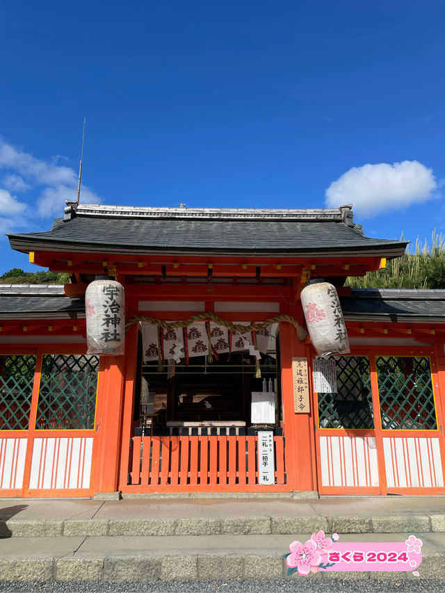 【京都府】宇治神社を参拝！