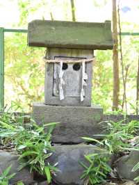 【久米川熊野神社/東京都】古き良きを感じる神社