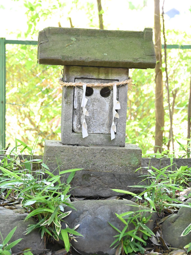 【久米川熊野神社/東京都】古き良きを感じる神社