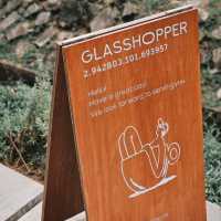 The Glasshopper
