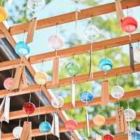 【埼玉県｜川越】今年のスケジュール決定！川越氷川神社 縁むすび風鈴🎐