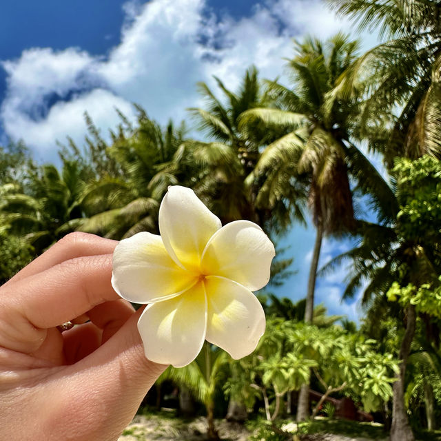 📍マニャガハ島🏖