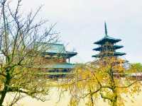 A deep insight into Japan’s Buddhist heritage 🇯🇵