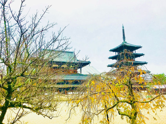 A deep insight into Japan’s Buddhist heritage 🇯🇵