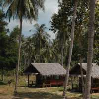 Coco Canopy Boutique Resort 