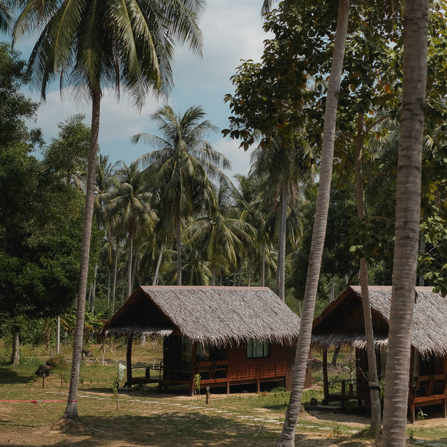 Coco Canopy Boutique Resort 