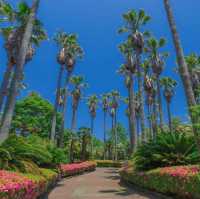 沖繩東南植物樂園～熱帶植物奇觀