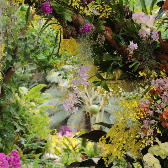 【成都植物園】春日百花齊放，2024年春遊首選