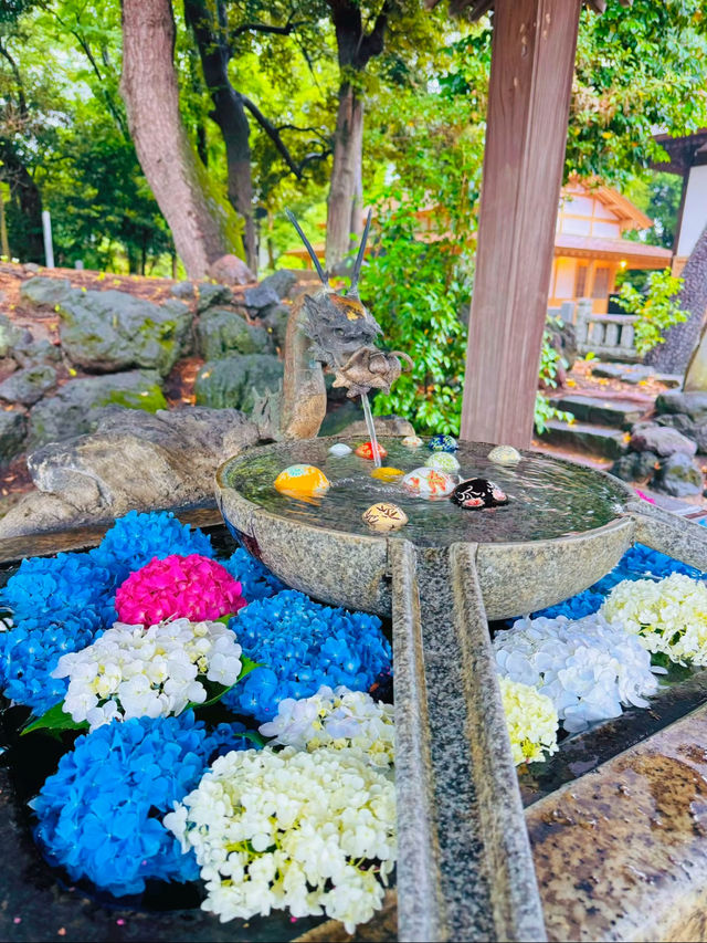 【群馬】戌・亥年の方に行ってほしい!!御朱印がかわいい🤍紫陽花見頃なパワスポ✨