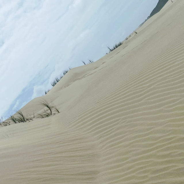 Giant Sand Dunes @ Cape Reinga 🇳🇿