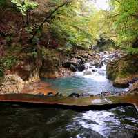 德裕山國立公園：大自然魅力