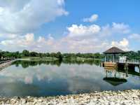 🇸🇬 Lower Peirce Reservoir Park