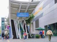 นั่งกระเช้านองปิง ไหว้พระใหญ่  ชมวิว 360 องศา