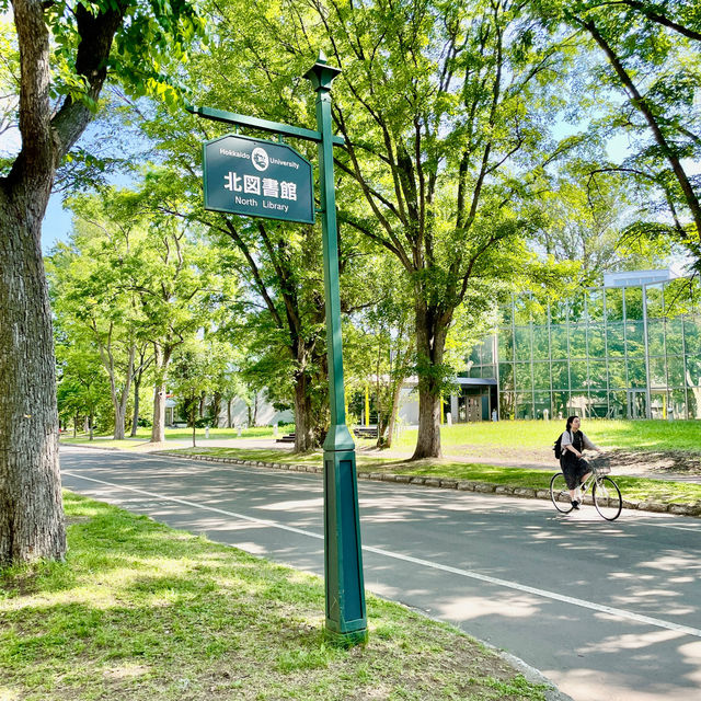 Serene Strolls at Hokkaido University