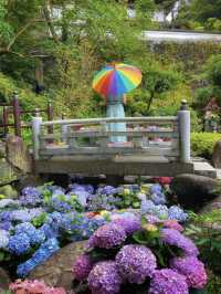 一度は訪れたい美しき花の寺💠💐🌿@奈良・岡寺