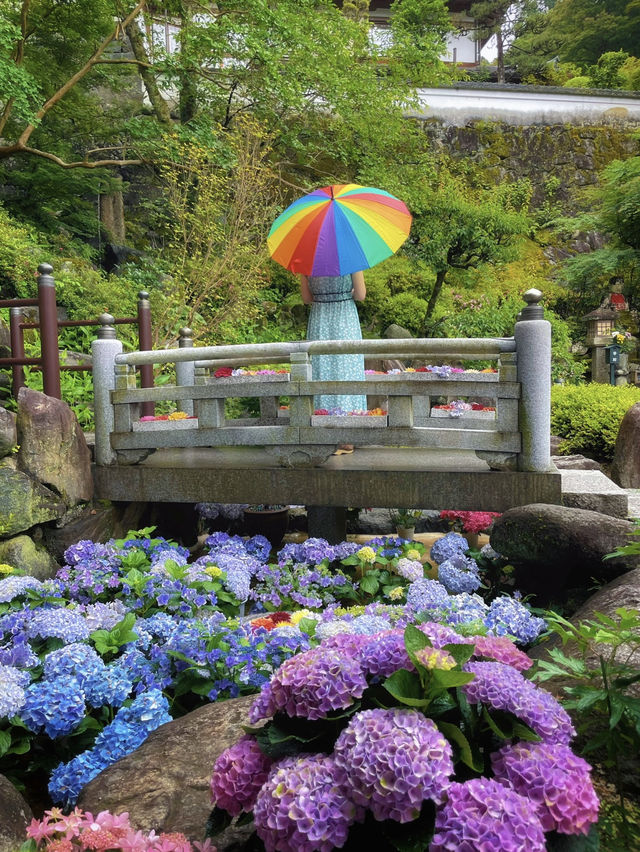 一度は訪れたい美しき花の寺💠💐🌿@奈良・岡寺